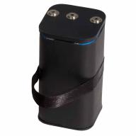 Batterie Li-Ion avec chargeur pour détecteur vScanM
