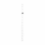 Echelle à câble intérieure 42U pour rack serveur - 100mm