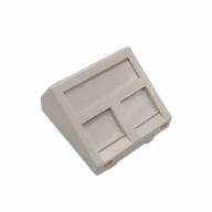 Plastron RJ45 incliné 45x45 2 ports Nu blanc pour embase UPTEC