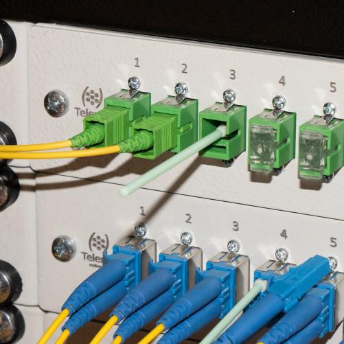 Tiges nettoyantes TED pour férul - Préparation de la fibre