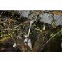 Milwaukee M18 BLTS-551 – Sécateu - Autres électroportatif