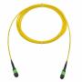 Trunk OptiPack FO 12FO MTPAF/MTP - Trunk optique fibre MTP/MPO
